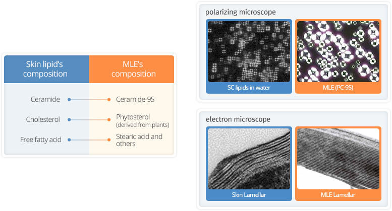 step1:Skin with a weak skin barrier is prone to moisture loss as well as to the infiltration of microorganisms and allergens from the external environment./step2:MLE, which has the same compounds and structure as those of the skin lipid, contains zeroid, which strengthens the skin barrier./step3:A healthy skin barrier results to a skin that contains an adequate amount of moisture and that has the ability to block the infiltration of microorganisms and allergens.